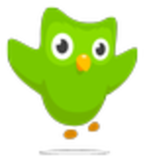 Duolingo Logo